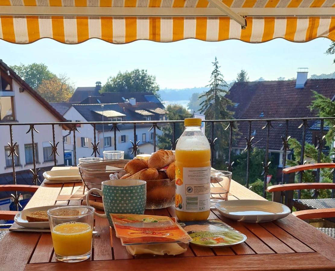 Ferienwohnung Rheinblick In Buesingen -Keine Monteure- Busingen Exterior photo