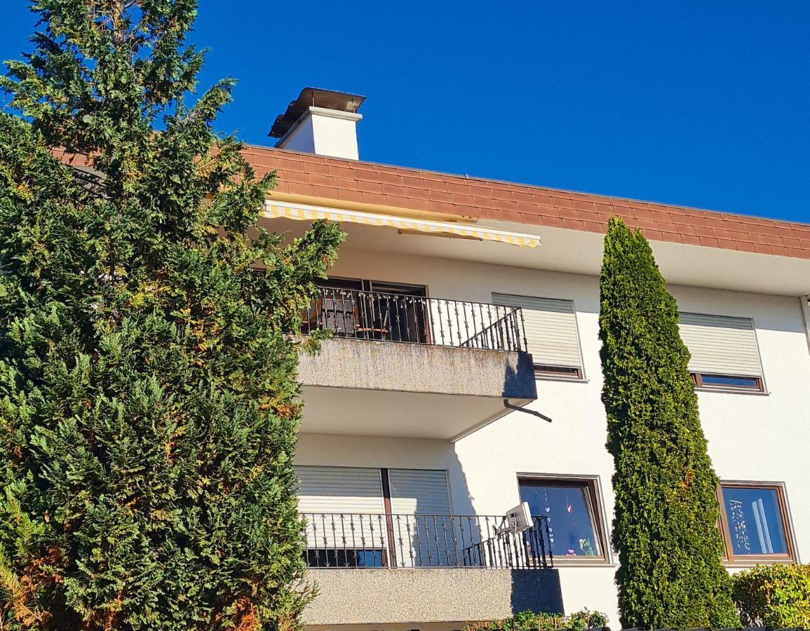 Ferienwohnung Rheinblick In Buesingen -Keine Monteure- Busingen Exterior photo