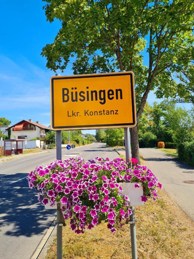 Ferienwohnung Rheinblick In Buesingen -Keine Monteure- Busingen Exterior photo